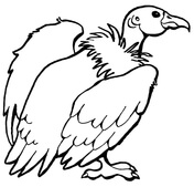 Condor coloring #9, Download drawings