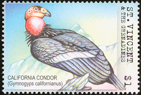 California Condor  svg #15, Download drawings