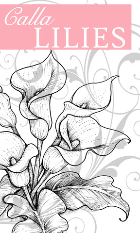 Calla coloring #8, Download drawings