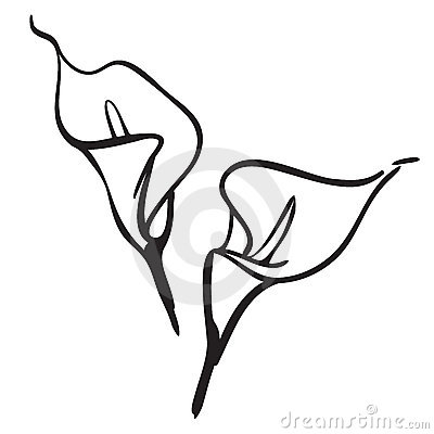 Calla Lily clipart #6, Download drawings