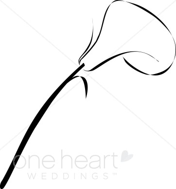 Calla Lily clipart #3, Download drawings