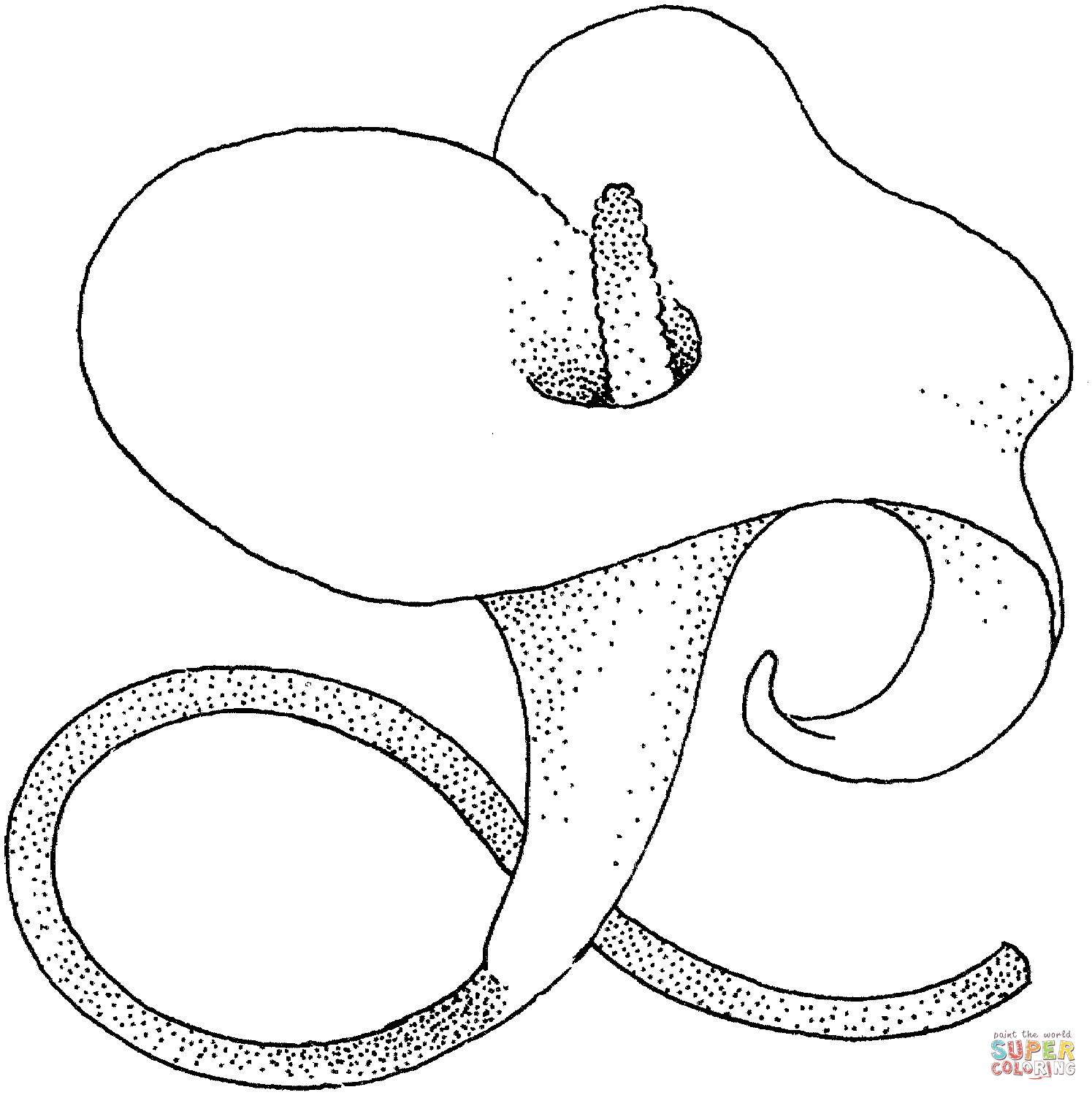 Calla Lily coloring #14, Download drawings