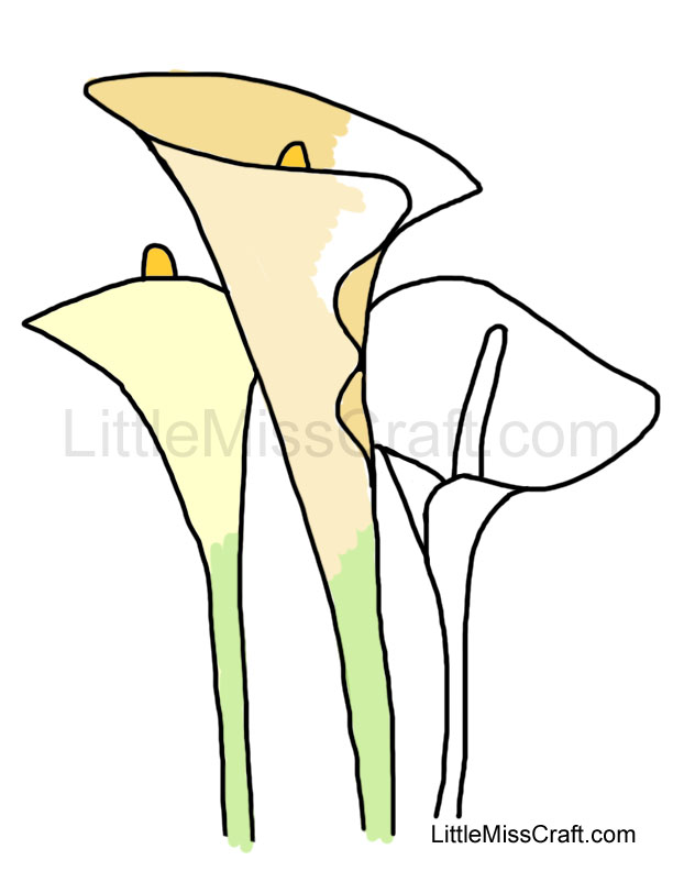 Calla Lily coloring #19, Download drawings