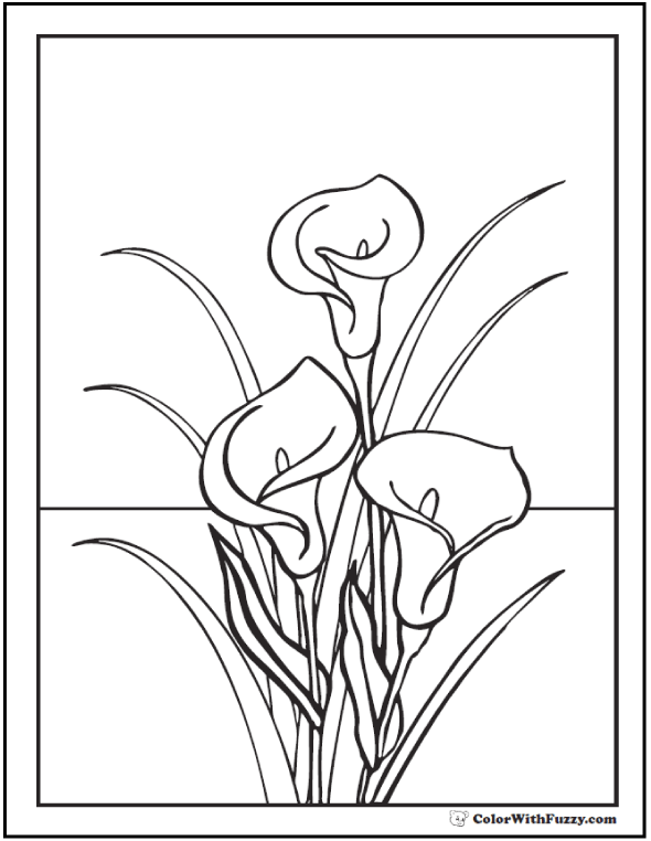 Calla Lily coloring #3, Download drawings