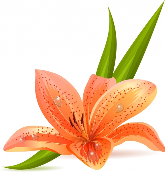 Tiger Lily svg #9, Download drawings