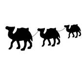 Camel Train clipart #1, Download drawings