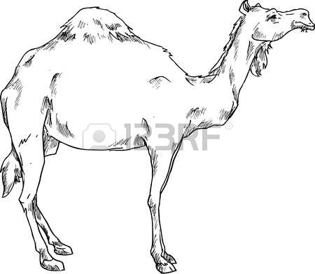 Camel Caravan coloring #10, Download drawings