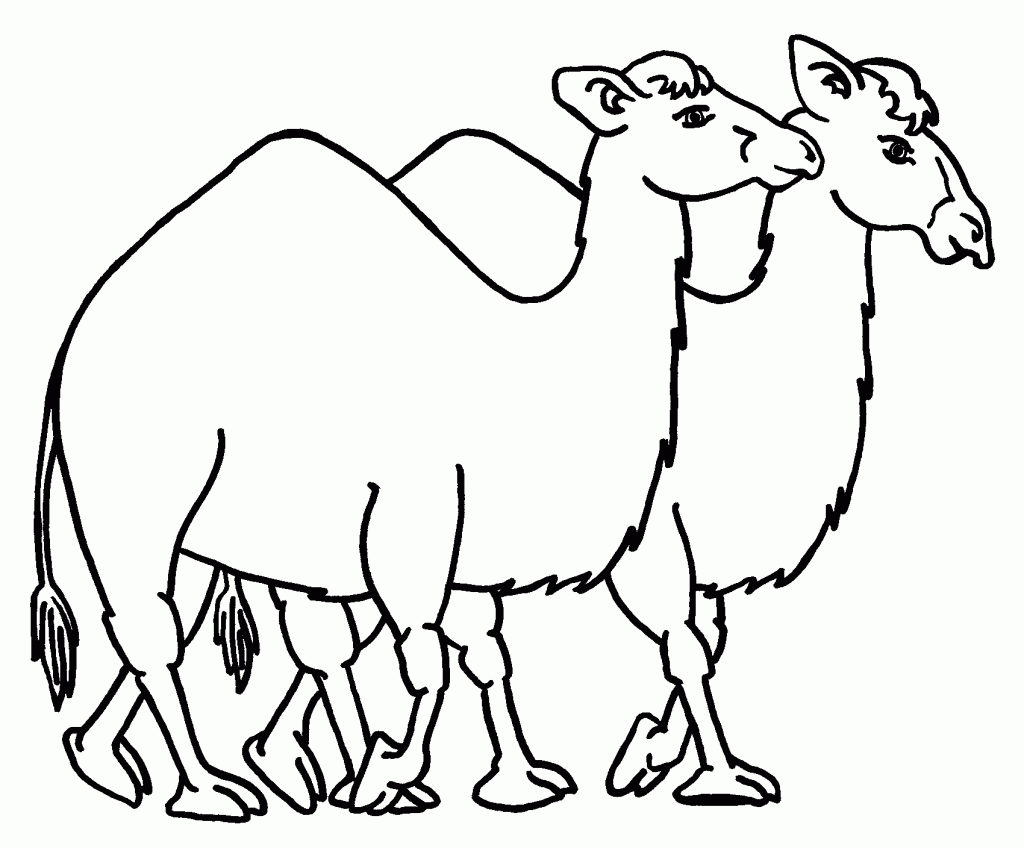 Camel Caravan coloring #8, Download drawings