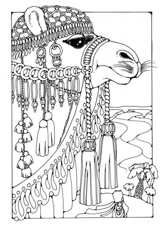 Camel Caravan coloring #2, Download drawings
