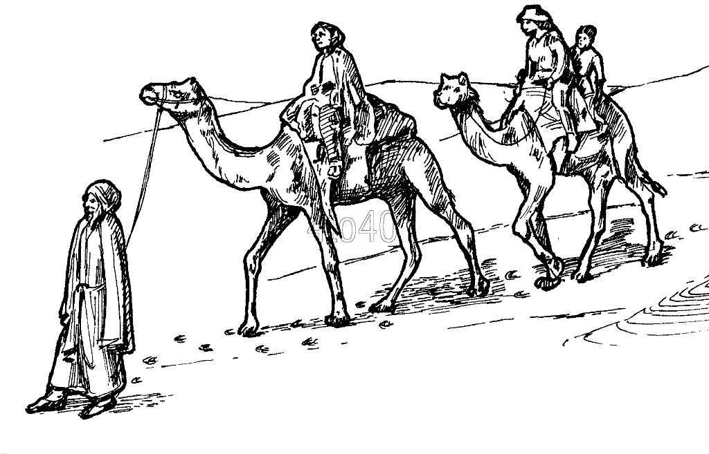 Camel Caravan coloring #4, Download drawings