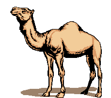 Camel clipart #13, Download drawings