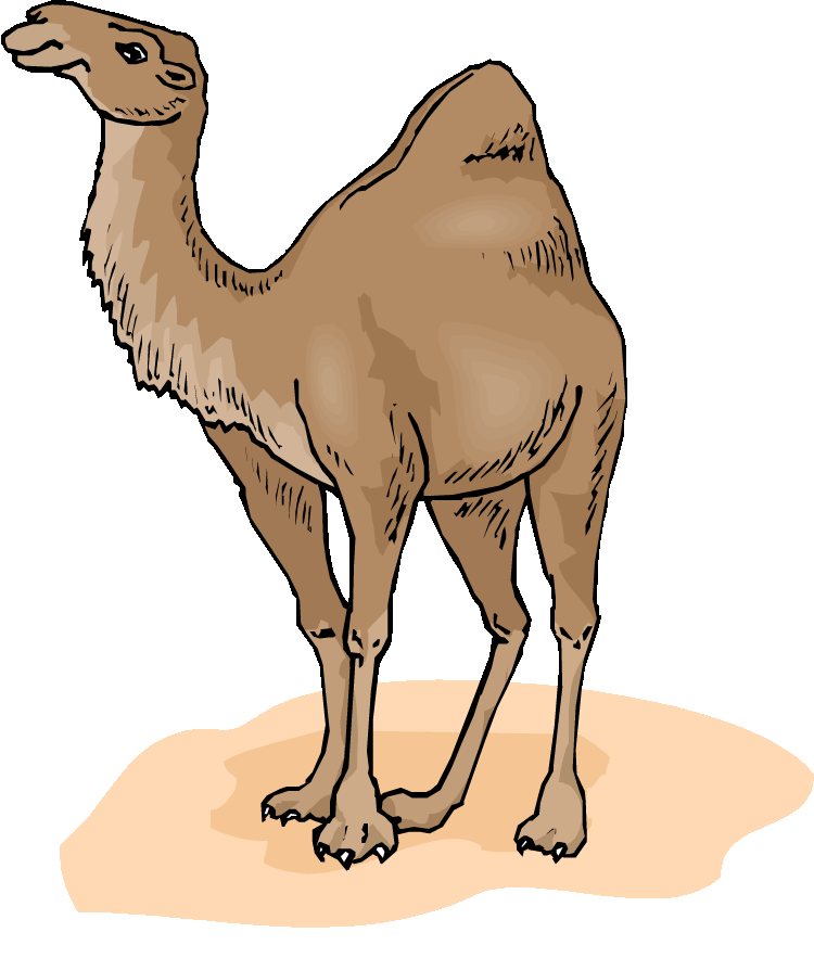 Camel clipart #5, Download drawings