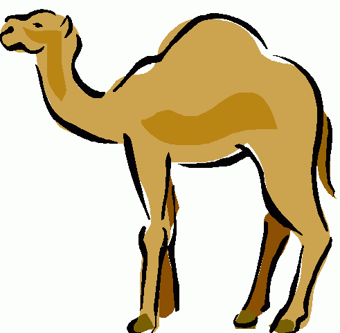 Camel clipart #18, Download drawings