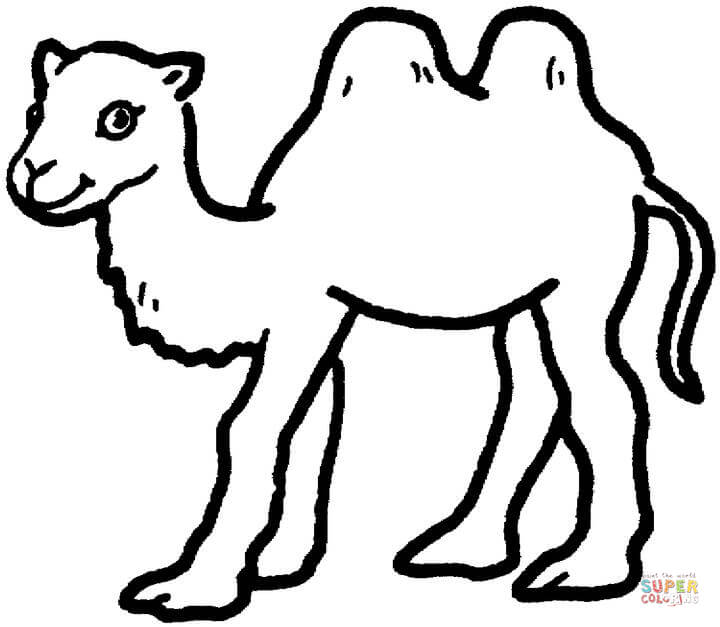 Camel coloring #5, Download drawings