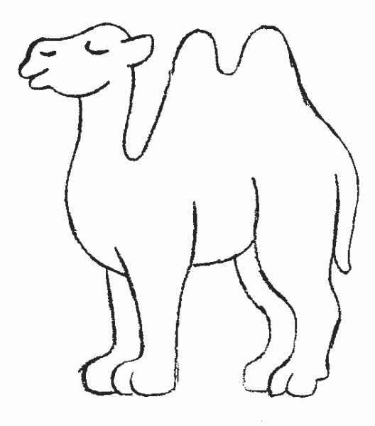 Camel coloring #9, Download drawings