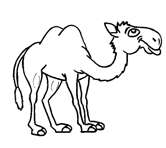 Camel coloring #13, Download drawings