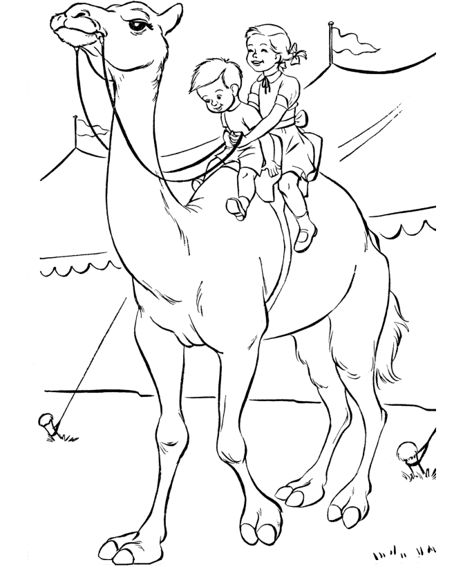 Camel coloring #11, Download drawings