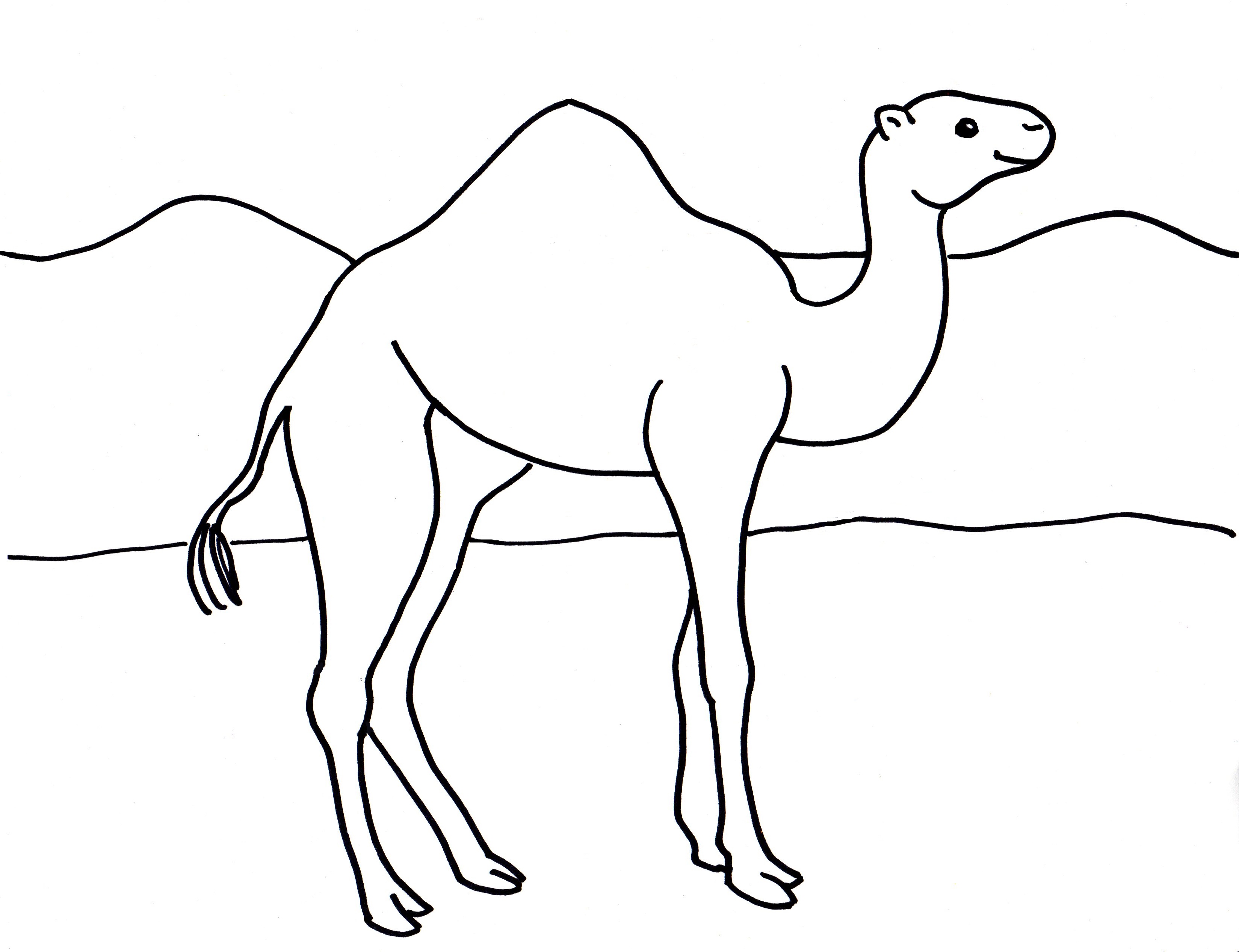 Camel coloring #20, Download drawings