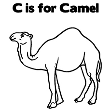 Camel coloring #17, Download drawings