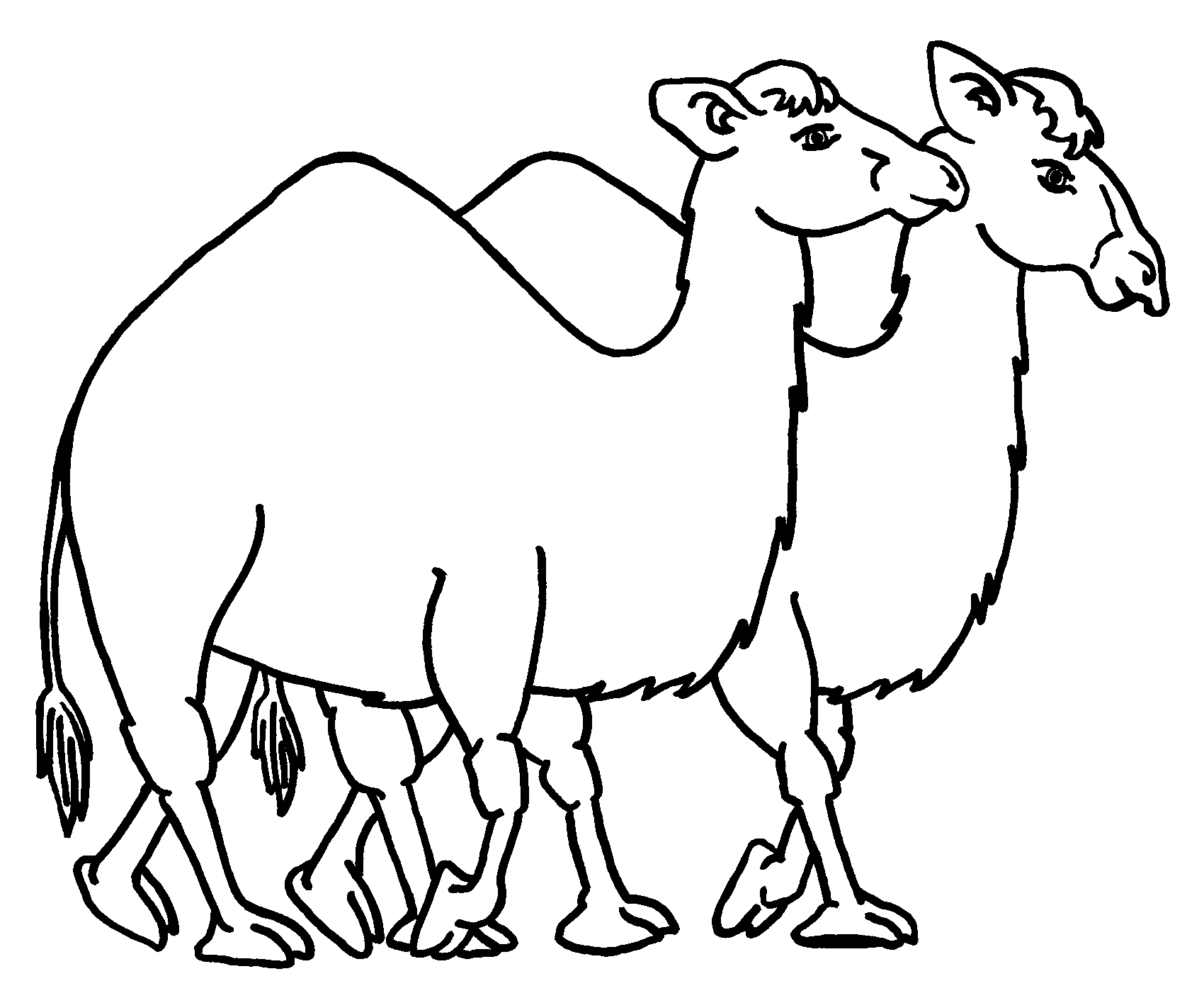 Camel coloring #4, Download drawings