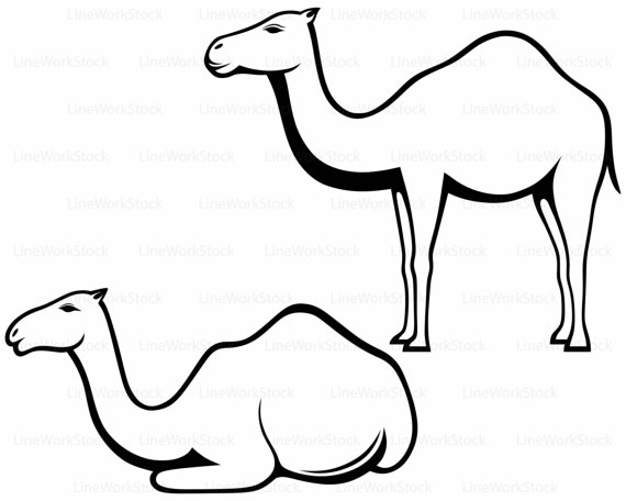 Camel svg #11, Download drawings