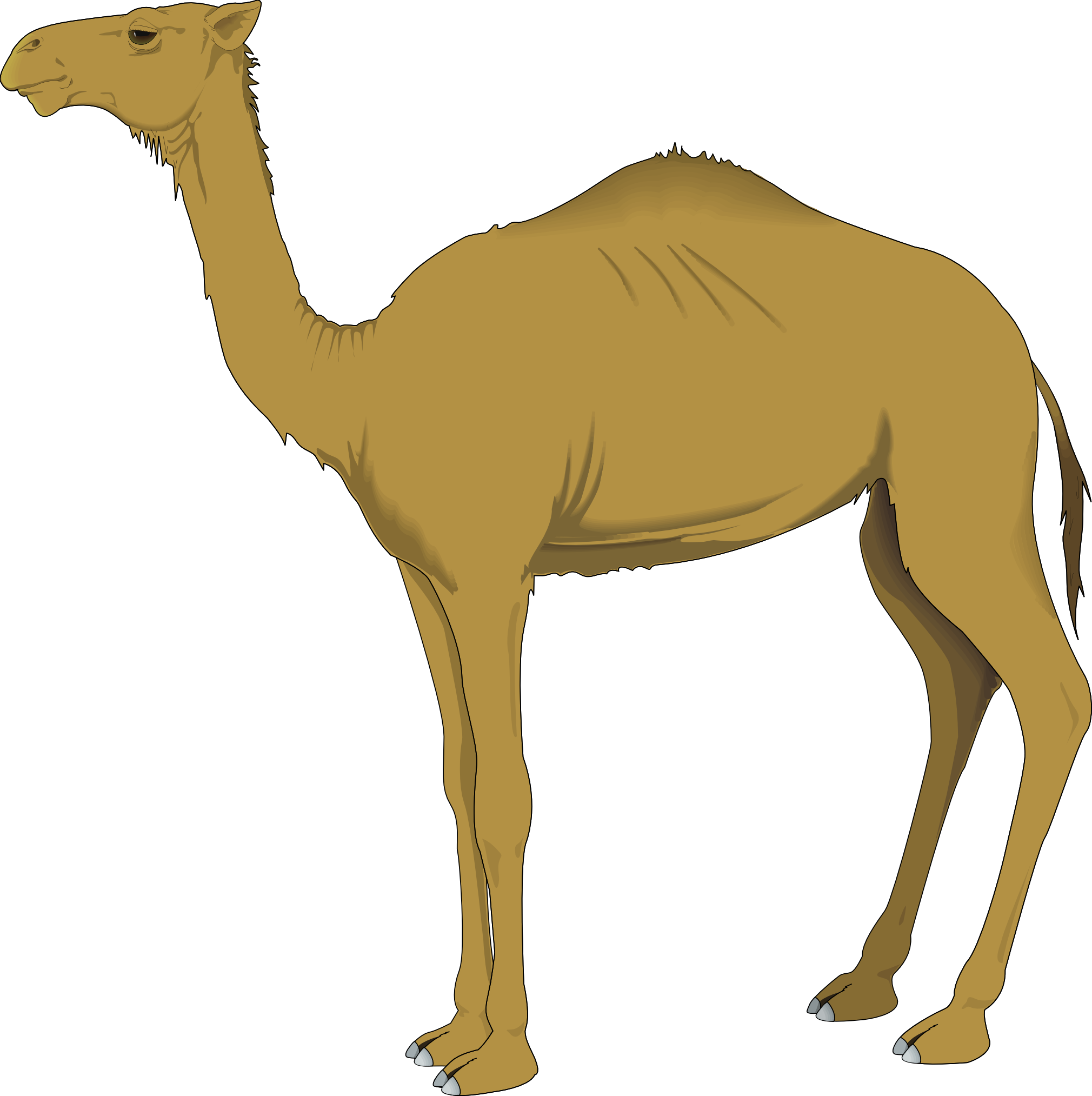 Camel svg #15, Download drawings