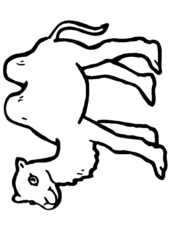 Camel Train coloring #13, Download drawings