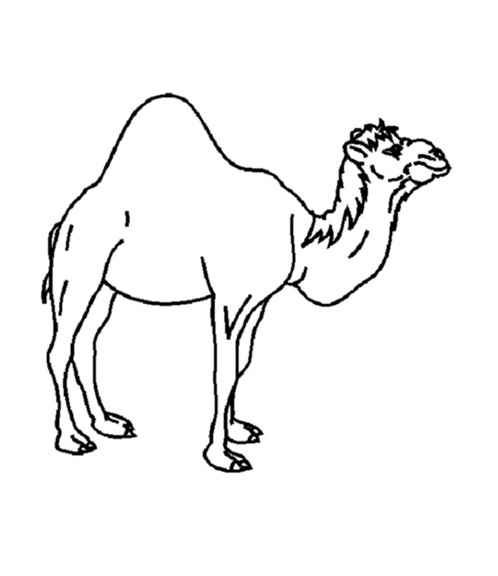 Camel Train coloring #17, Download drawings