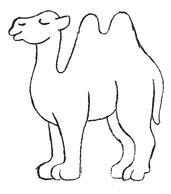Camel coloring #2, Download drawings