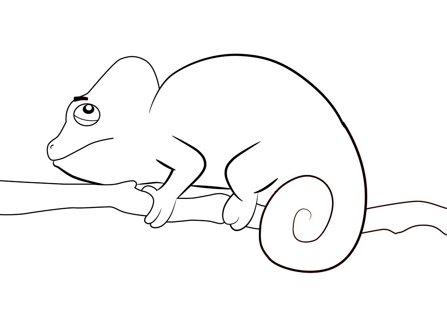Chameleon coloring #14, Download drawings