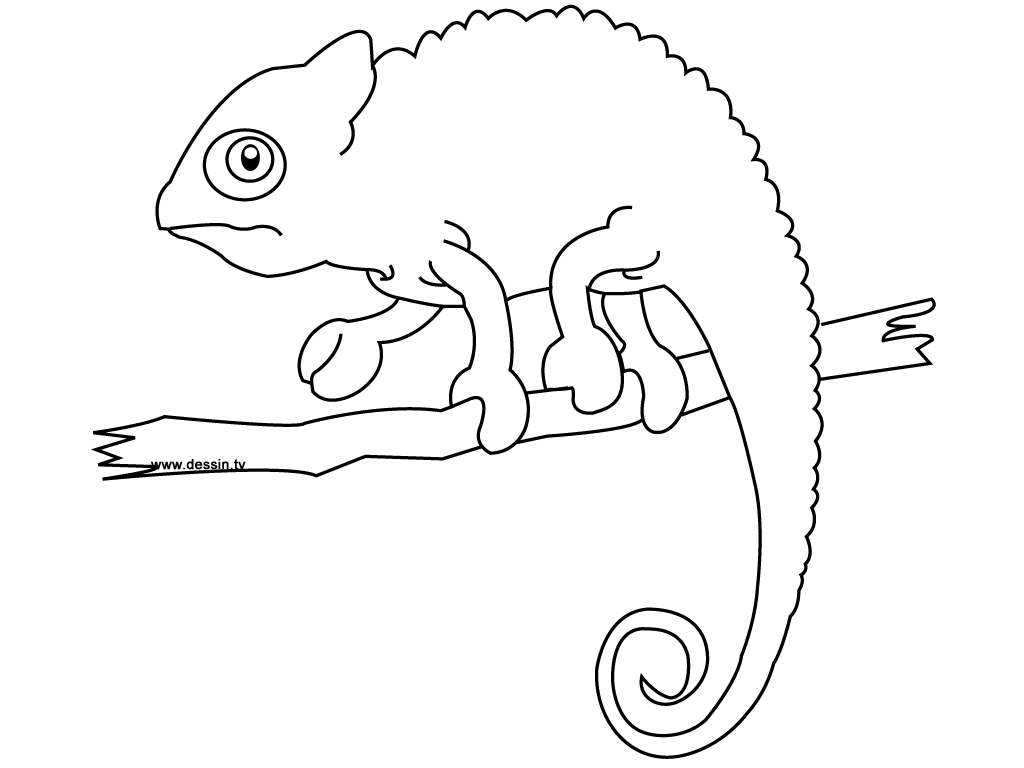 Jackson's Chameleon coloring #7, Download drawings