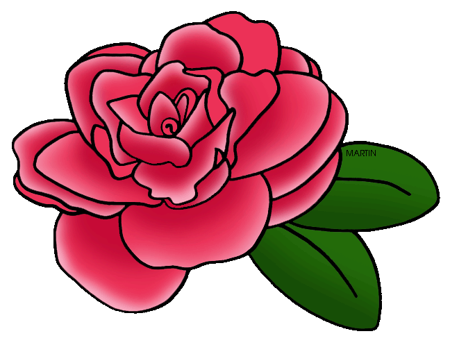Camellia clipart #15, Download drawings