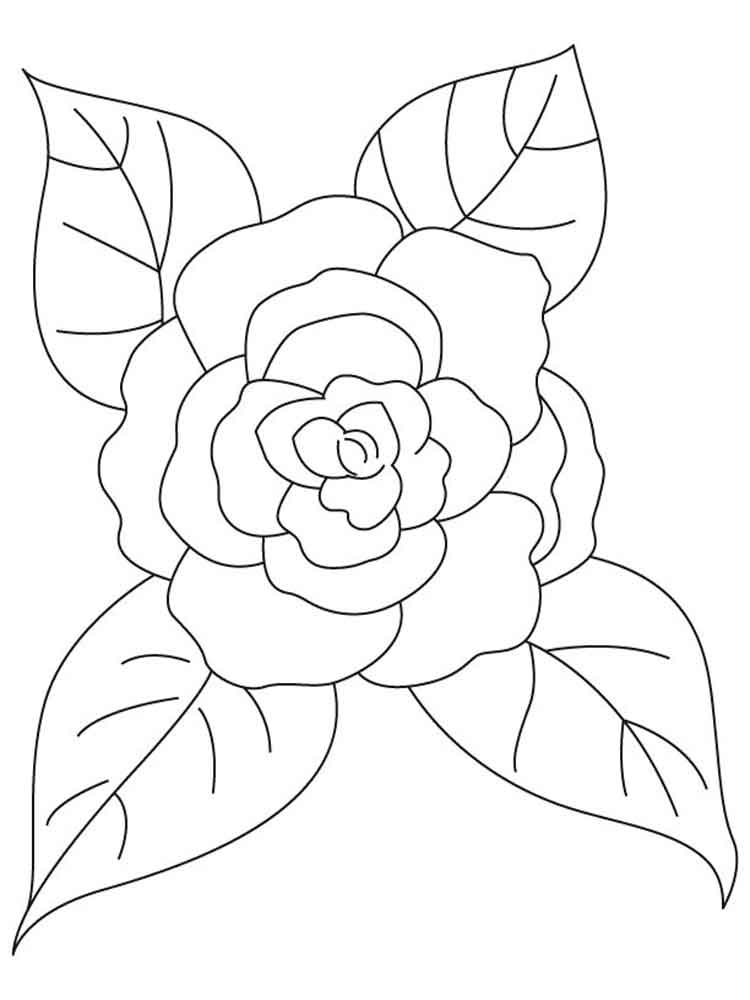 Camellia coloring #10, Download drawings