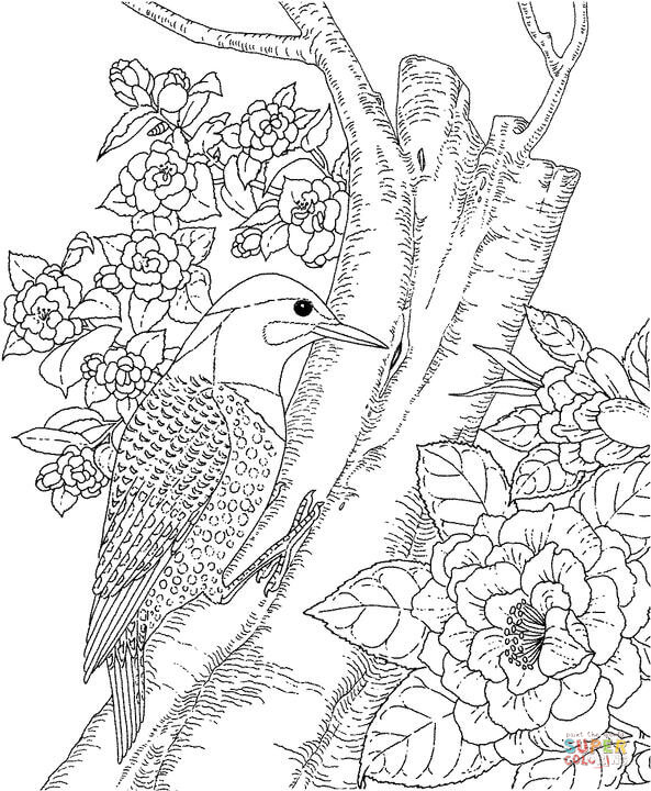 Camellia coloring #5, Download drawings