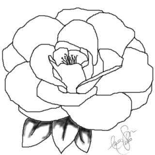 Camellia coloring #17, Download drawings