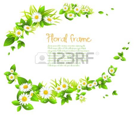 Camomile clipart #13, Download drawings