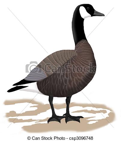 Canada Goose clipart #12, Download drawings
