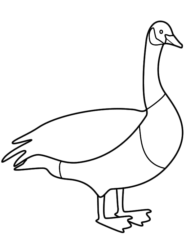 Canada Goose coloring #18, Download drawings