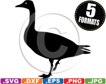 Pink-footed Goose svg #15, Download drawings