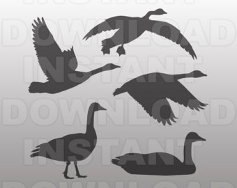 Canada Goose svg #8, Download drawings