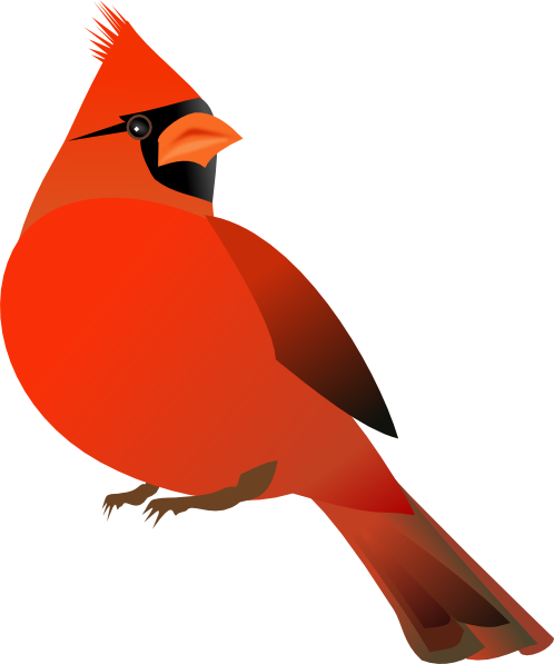 Northern Cardinal clipart #6, Download drawings