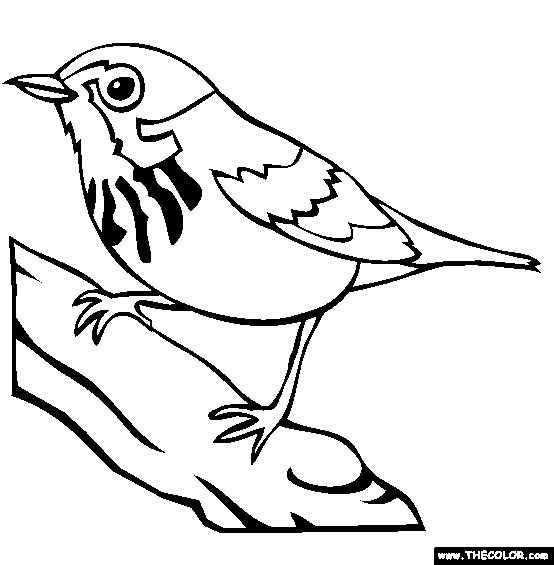 Canada Warbler coloring #20, Download drawings