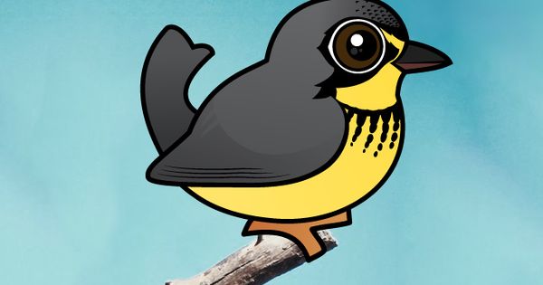 Canada Warbler coloring #7, Download drawings