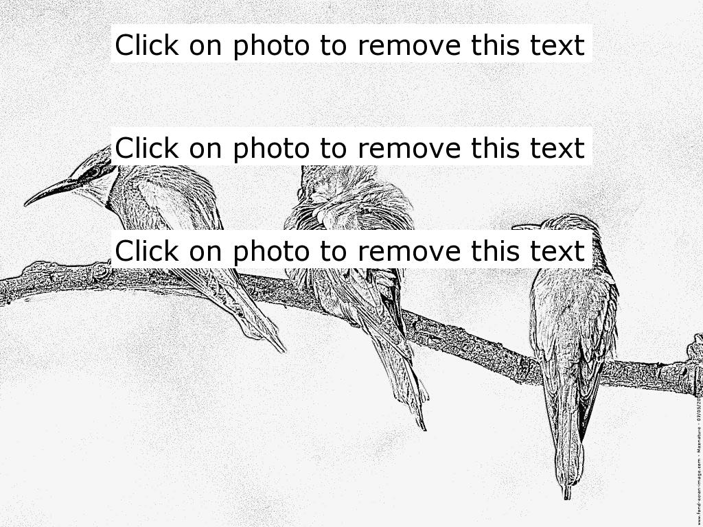 European Bee-eater coloring #17, Download drawings
