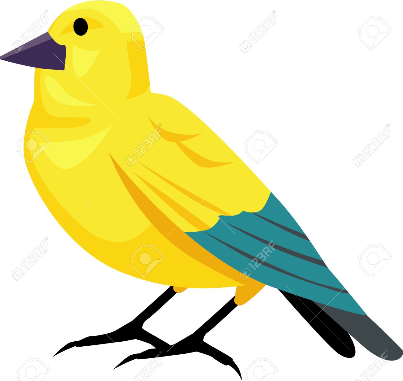 Canary clipart #9, Download drawings
