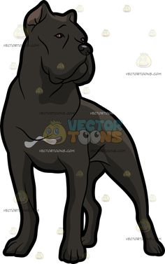 Cane Corso clipart #16, Download drawings