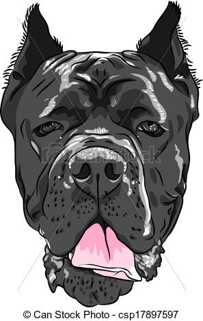 Cane Corso clipart #15, Download drawings