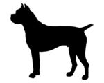 Cane Corso clipart #4, Download drawings