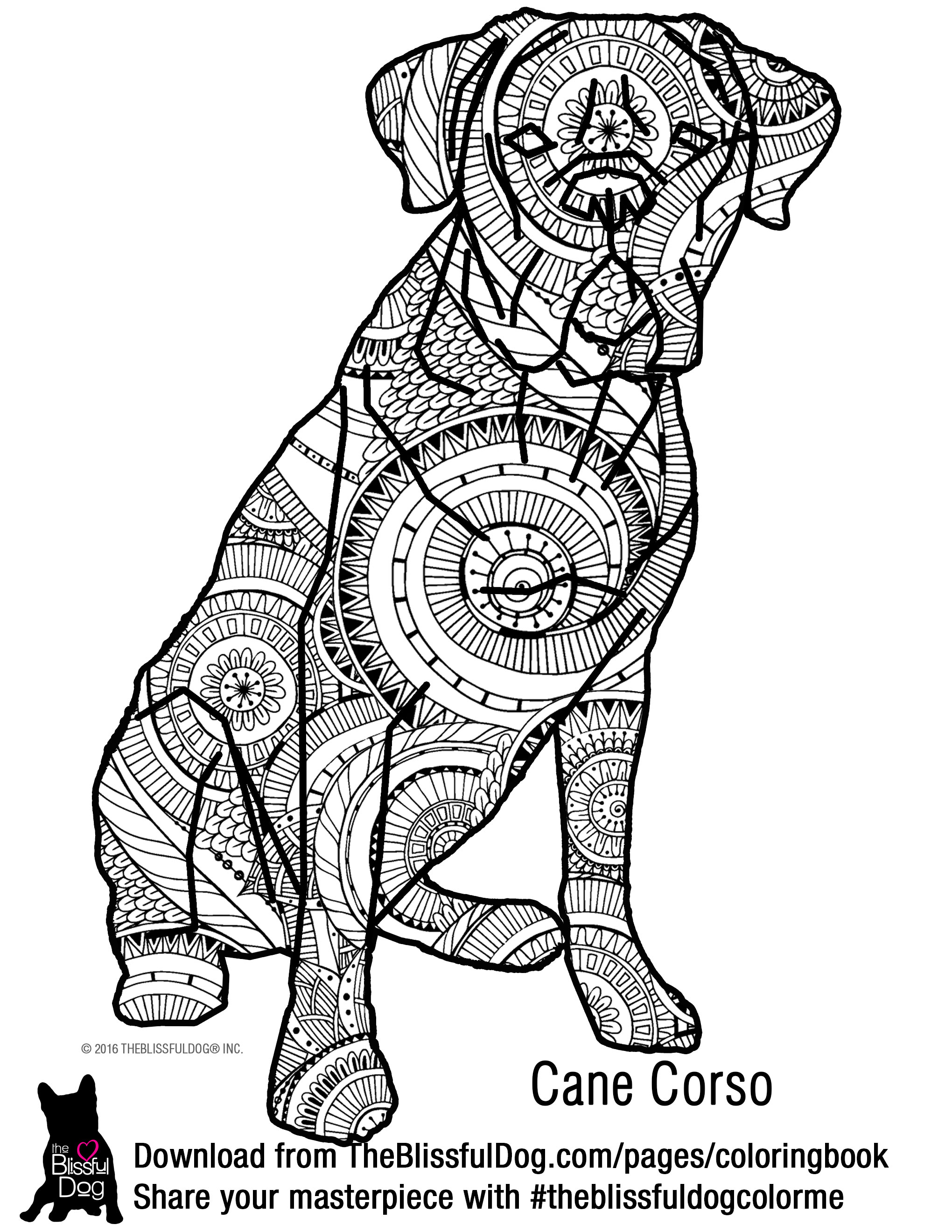 Cane Corso coloring #2, Download drawings