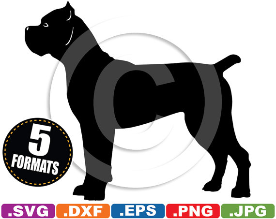 Cane Corso svg #19, Download drawings